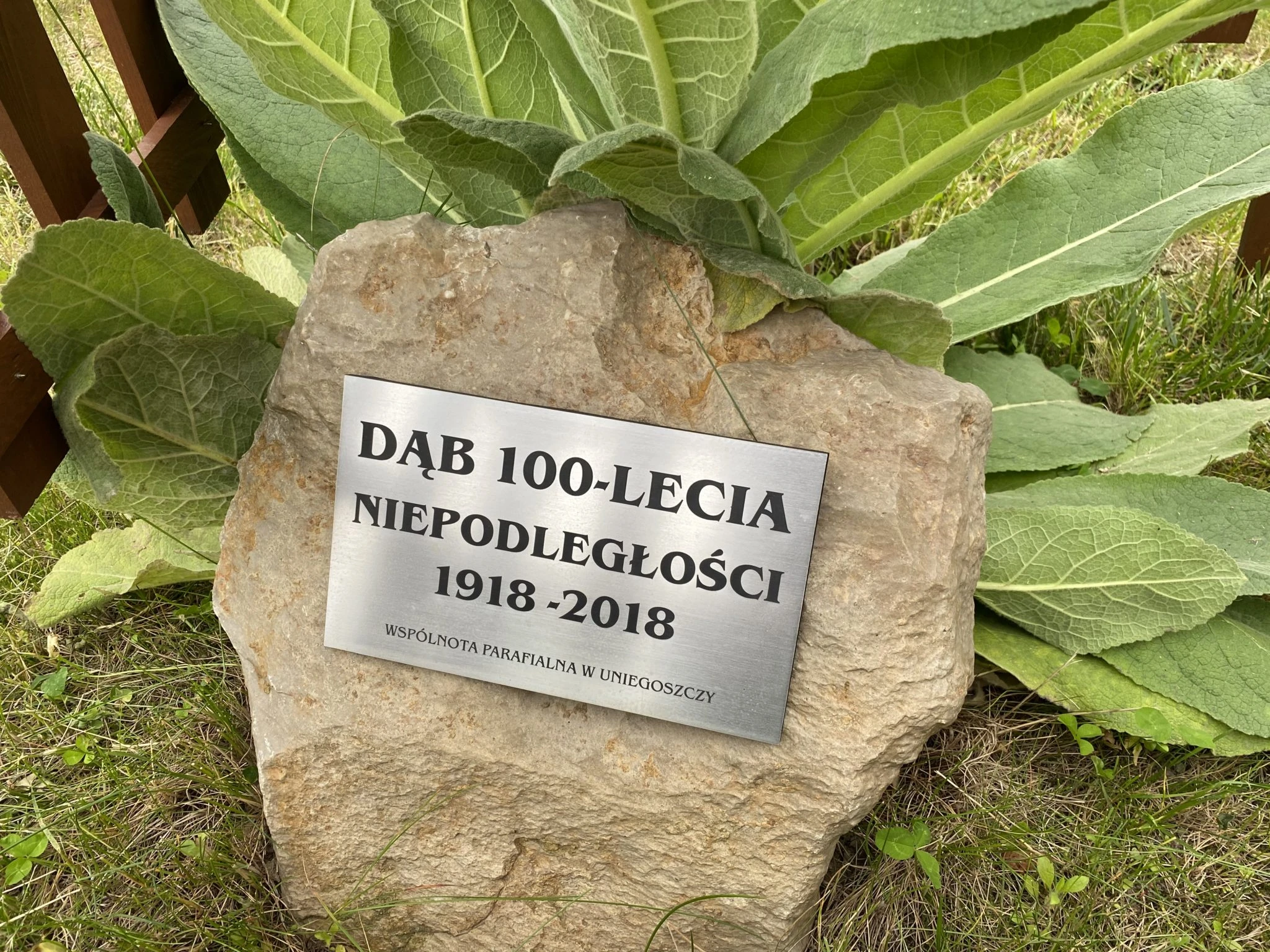 Standardy ochrony dzieci w parafii Narodzenia NMP w Lubaniu Uniegoszczy